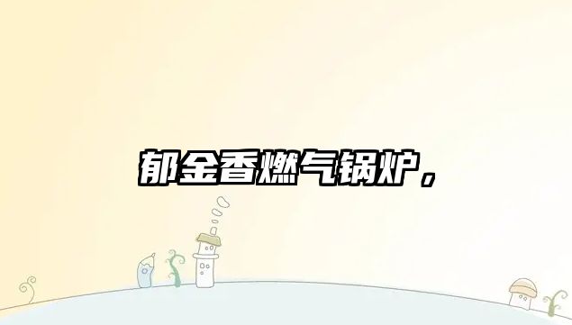 郁金香燃?xì)忮仩t，