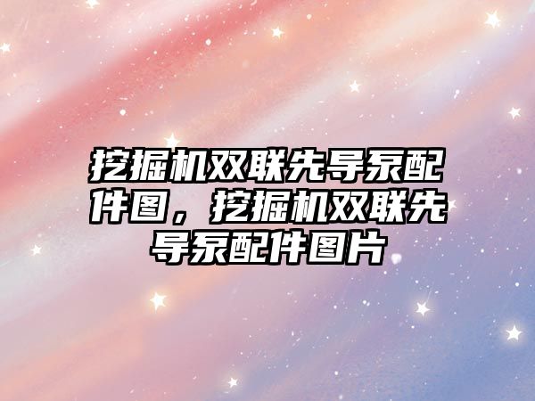 挖掘機(jī)雙聯(lián)先導(dǎo)泵配件圖，挖掘機(jī)雙聯(lián)先導(dǎo)泵配件圖片