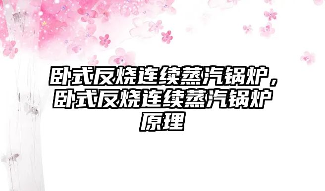 臥式反燒連續(xù)蒸汽鍋爐，臥式反燒連續(xù)蒸汽鍋爐原理