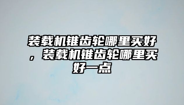 裝載機錐齒輪哪里買好，裝載機錐齒輪哪里買好一點