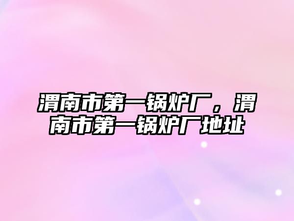 渭南市第一鍋爐廠，渭南市第一鍋爐廠地址