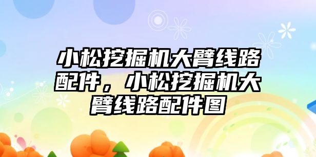 小松挖掘機大臂線路配件，小松挖掘機大臂線路配件圖