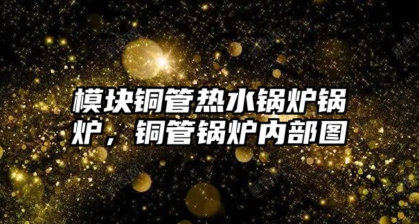 模塊銅管熱水鍋爐鍋爐，銅管鍋爐內(nèi)部圖