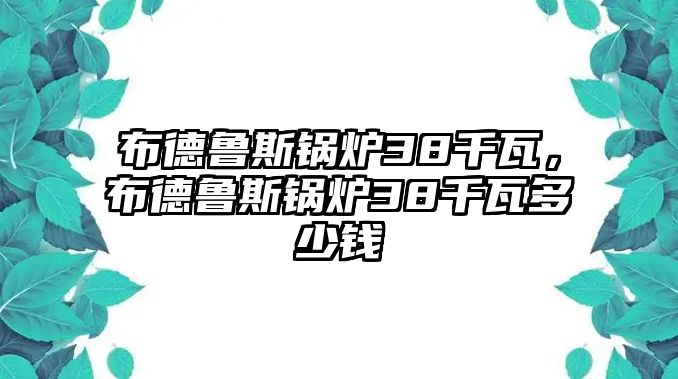 布德魯斯鍋爐38千瓦，布德魯斯鍋爐38千瓦多少錢