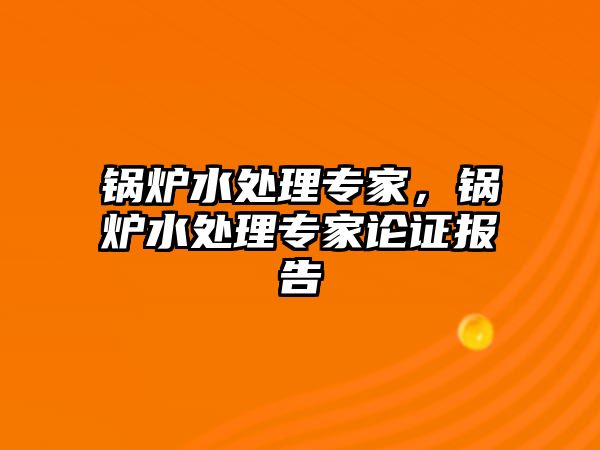 鍋爐水處理專家，鍋爐水處理專家論證報(bào)告