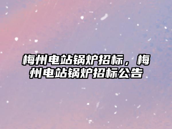 梅州電站鍋爐招標，梅州電站鍋爐招標公告