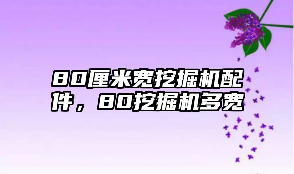 80厘米寬挖掘機(jī)配件，80挖掘機(jī)多寬