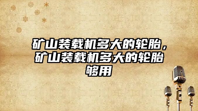 礦山裝載機(jī)多大的輪胎，礦山裝載機(jī)多大的輪胎夠用