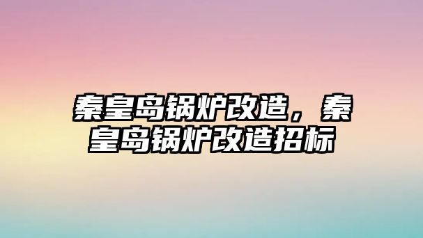 秦皇島鍋爐改造，秦皇島鍋爐改造招標