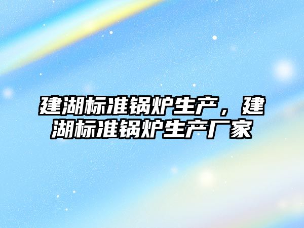 建湖標準鍋爐生產(chǎn)，建湖標準鍋爐生產(chǎn)廠家