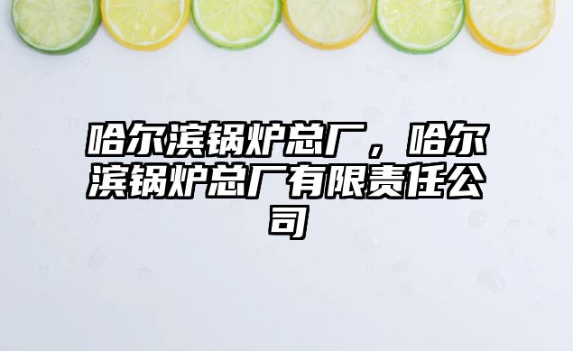 哈爾濱鍋爐總廠，哈爾濱鍋爐總廠有限責任公司