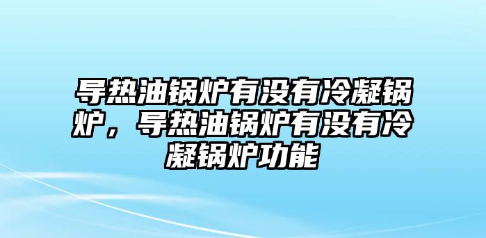 導熱油鍋爐有沒有冷凝鍋爐，導熱油鍋爐有沒有冷凝鍋爐功能