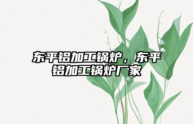 東平鋁加工鍋爐，東平鋁加工鍋爐廠家