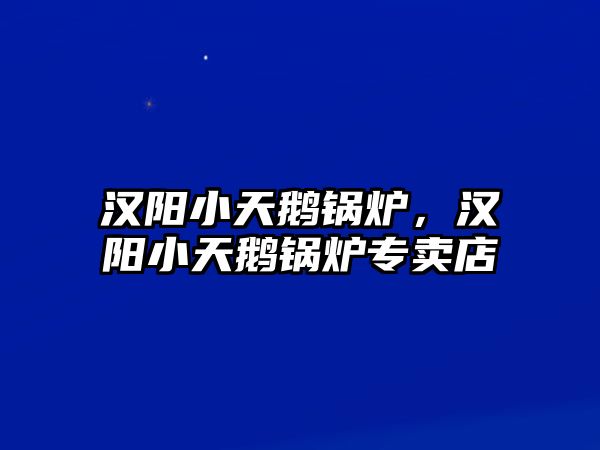漢陽(yáng)小天鵝鍋爐，漢陽(yáng)小天鵝鍋爐專賣店