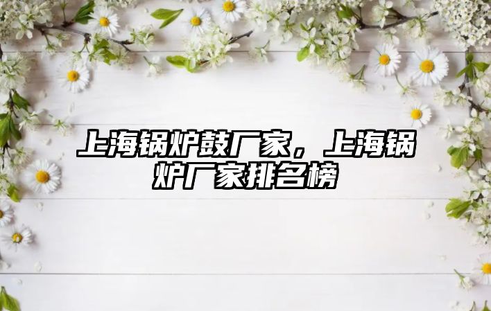 上海鍋爐鼓廠家，上海鍋爐廠家排名榜