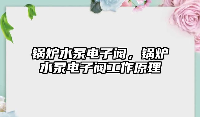 鍋爐水泵電子閥，鍋爐水泵電子閥工作原理