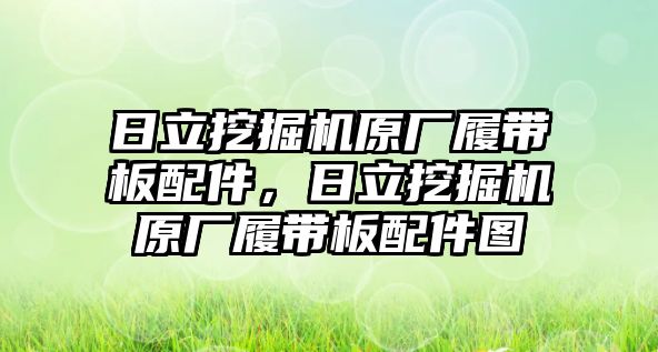 日立挖掘機(jī)原廠履帶板配件，日立挖掘機(jī)原廠履帶板配件圖