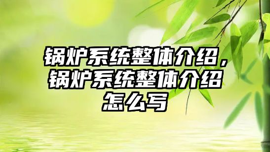 鍋爐系統(tǒng)整體介紹，鍋爐系統(tǒng)整體介紹怎么寫