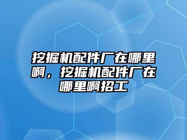 挖掘機(jī)配件廠在哪里啊，挖掘機(jī)配件廠在哪里啊招工