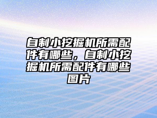 自制小挖掘機(jī)所需配件有哪些，自制小挖掘機(jī)所需配件有哪些圖片