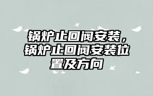 鍋爐止回閥安裝，鍋爐止回閥安裝位置及方向