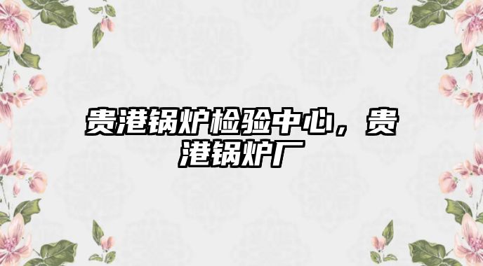 貴港鍋爐檢驗(yàn)中心，貴港鍋爐廠