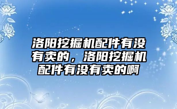 洛陽挖掘機配件有沒有賣的，洛陽挖掘機配件有沒有賣的啊