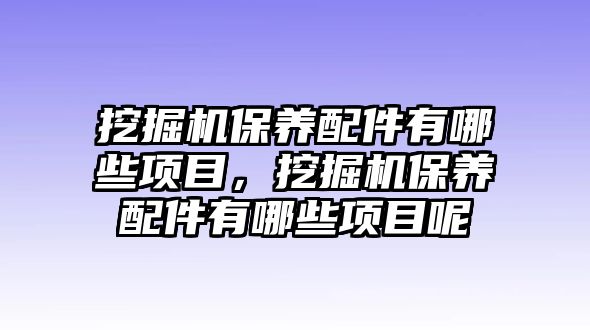 挖掘機保養(yǎng)配件有哪些項目，挖掘機保養(yǎng)配件有哪些項目呢