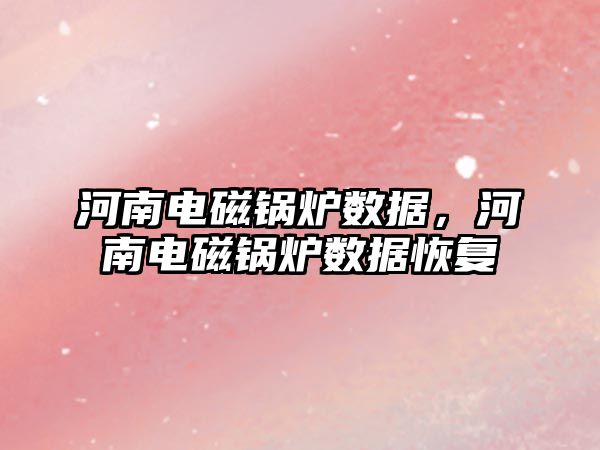 河南電磁鍋爐數(shù)據(jù)，河南電磁鍋爐數(shù)據(jù)恢復(fù)