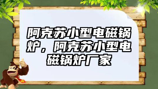 阿克蘇小型電磁鍋爐，阿克蘇小型電磁鍋爐廠家
