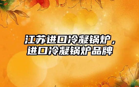江蘇進(jìn)口冷凝鍋爐，進(jìn)口冷凝鍋爐品牌