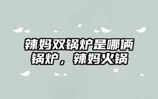 辣媽雙鍋爐是哪倆鍋爐，辣媽火鍋