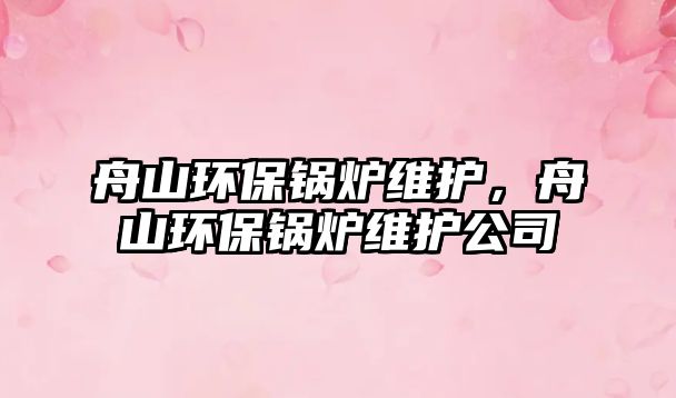 舟山環(huán)保鍋爐維護(hù)，舟山環(huán)保鍋爐維護(hù)公司