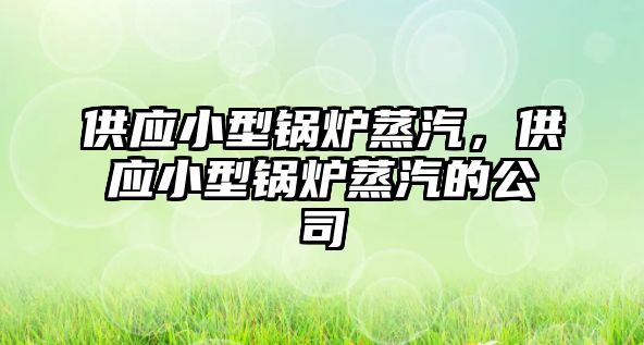 供應(yīng)小型鍋爐蒸汽，供應(yīng)小型鍋爐蒸汽的公司
