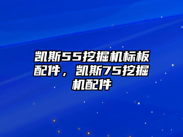 凱斯55挖掘機標板配件，凱斯75挖掘機配件
