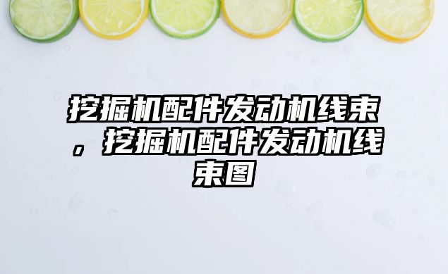 挖掘機(jī)配件發(fā)動機(jī)線束，挖掘機(jī)配件發(fā)動機(jī)線束圖