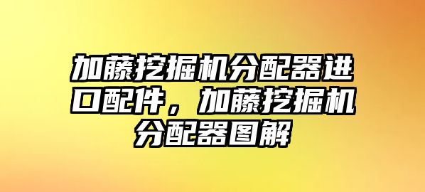 加藤挖掘機(jī)分配器進(jìn)口配件，加藤挖掘機(jī)分配器圖解