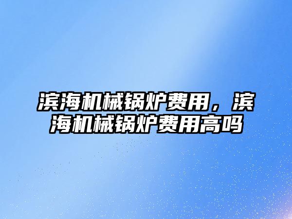濱海機械鍋爐費用，濱海機械鍋爐費用高嗎