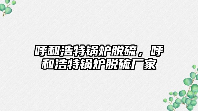 呼和浩特鍋爐脫硫，呼和浩特鍋爐脫硫廠家