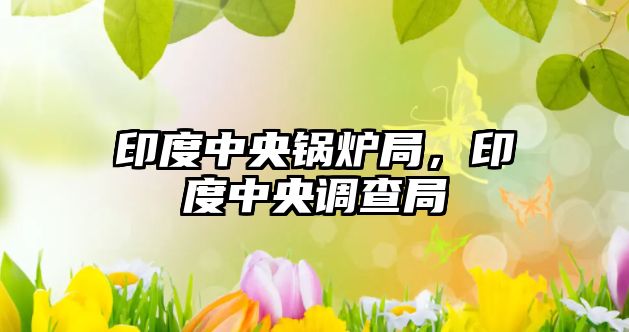 印度中央鍋爐局，印度中央調(diào)查局
