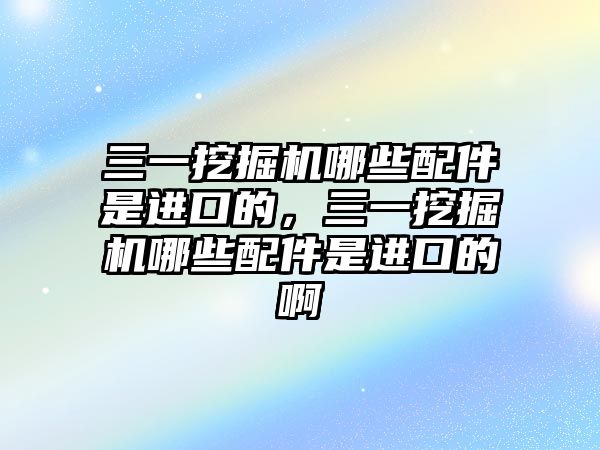 三一挖掘機哪些配件是進口的，三一挖掘機哪些配件是進口的啊
