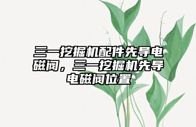 三一挖掘機配件先導電磁閥，三一挖掘機先導電磁閥位置