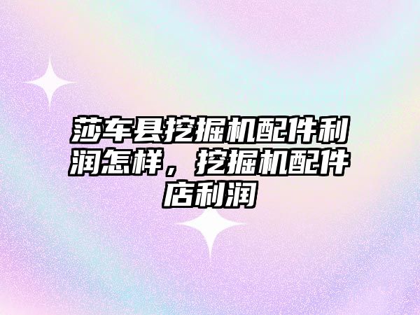 莎車縣挖掘機(jī)配件利潤怎樣，挖掘機(jī)配件店利潤