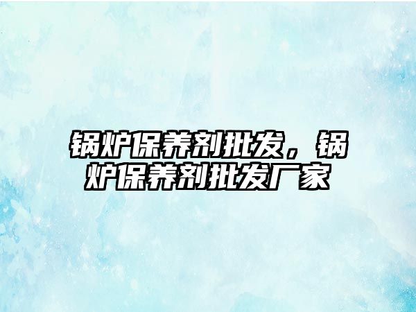 鍋爐保養(yǎng)劑批發(fā)，鍋爐保養(yǎng)劑批發(fā)廠家
