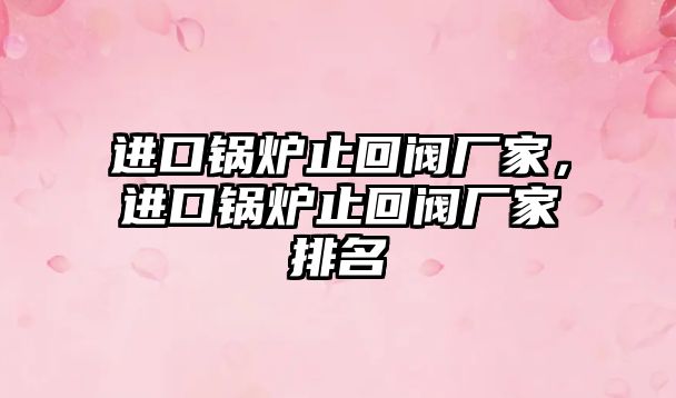進口鍋爐止回閥廠家，進口鍋爐止回閥廠家排名
