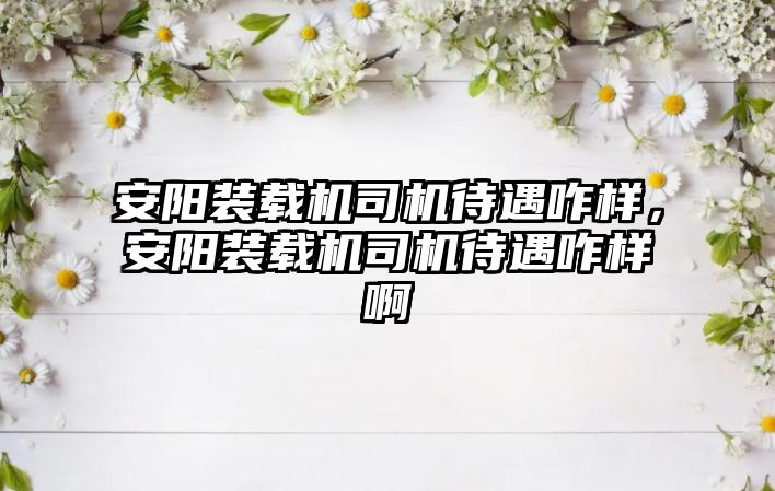 安陽裝載機(jī)司機(jī)待遇咋樣，安陽裝載機(jī)司機(jī)待遇咋樣啊