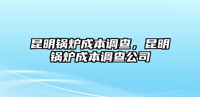 昆明鍋爐成本調(diào)查，昆明鍋爐成本調(diào)查公司