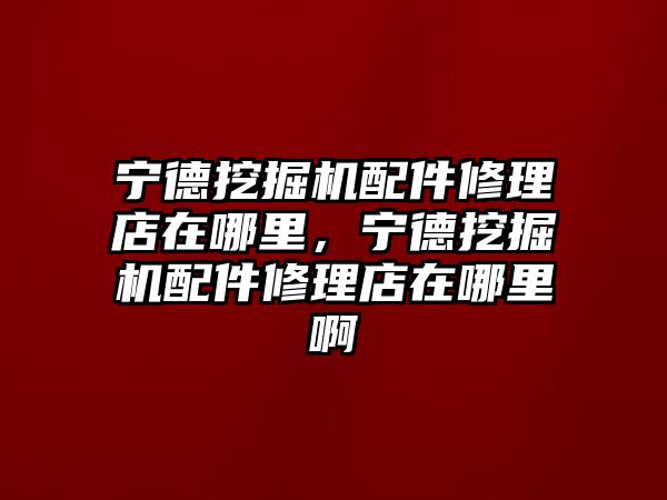 寧德挖掘機配件修理店在哪里，寧德挖掘機配件修理店在哪里啊