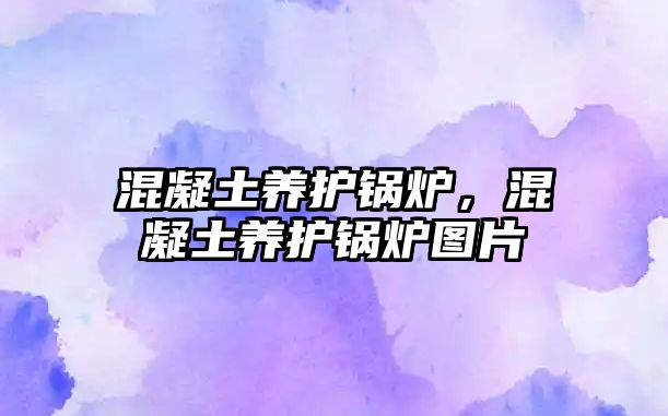 混凝土養(yǎng)護(hù)鍋爐，混凝土養(yǎng)護(hù)鍋爐圖片