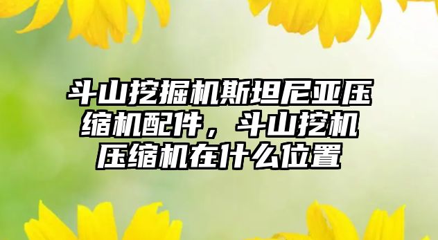 斗山挖掘機(jī)斯坦尼亞壓縮機(jī)配件，斗山挖機(jī)壓縮機(jī)在什么位置